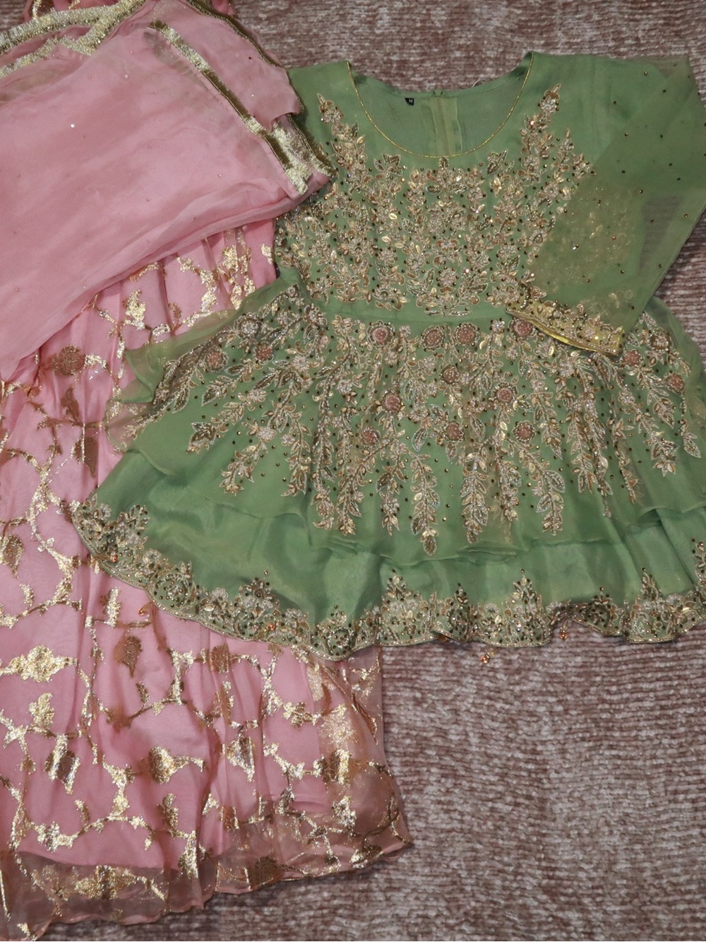 Embellished Light Green and Pink Sharara